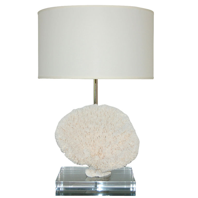 Sculptural Table Coral Lamp on Lucite Block with Swank Mount