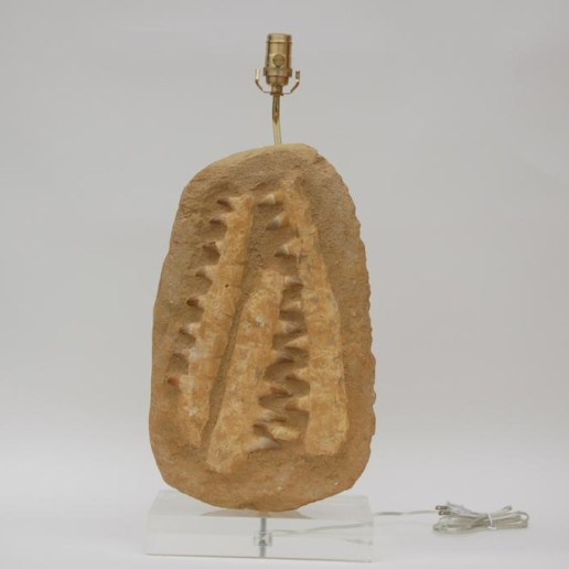 Sculptural Fossil Stone Lamp