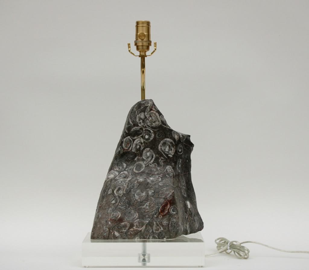Fossil Stone Table Lamp Gray